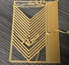 20241126 Maximilian Beck Wood PA.jpg