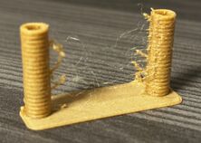 20241126 Maximilian Beck Wood Retraction.jpg