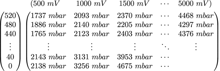 Abbildung 2) Schema der Ergebnismatrix