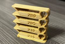 20241126 Maximilian Beck Wood Temp.jpg